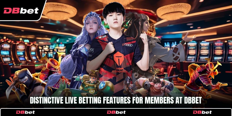 Distinctive live betting features for members at DbBet