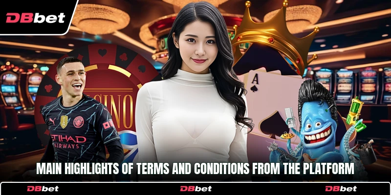 Main highlights of Terms and Conditions from the platform