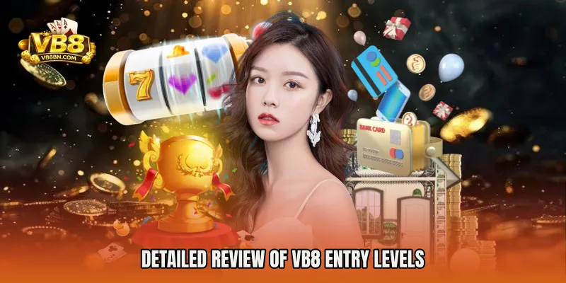 Detailed review of VB8 entry levels